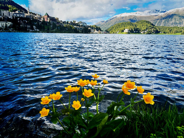 Lake St. Moritz – A Year-Round Alpine Icon