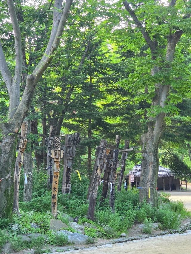 더 더워지기전에 가봐야할 한국 민속촌