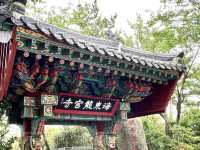 座落海邊的美麗海東龍宮寺