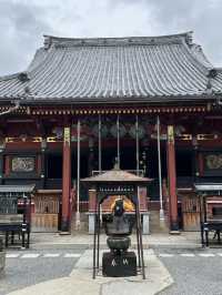 🙏【茨城・桜川市 雨引観音（雨引山楽法寺）】紫陽花に包まれるパワースポットで癒しとご利益の旅 