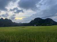 Tam Coc - Golden fields and timeless beauty 🌾