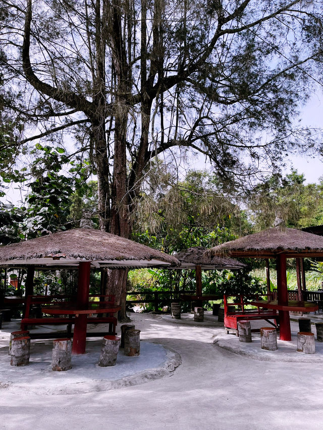 “Batak Museum: Cultural Treasure in Tomok, Samosir”