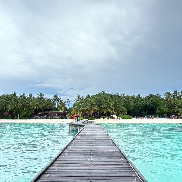 มัลดีฟส์ | Maldives