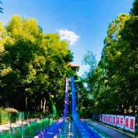 四川成都國色天鄉水上樂園遊玩攻略，適合夏天打卡