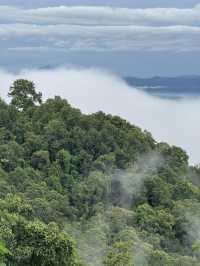 ดอยปุย-ดอยสุเทพ จ.เชียงใหม่ ⛰️🌳🌧️🌫️