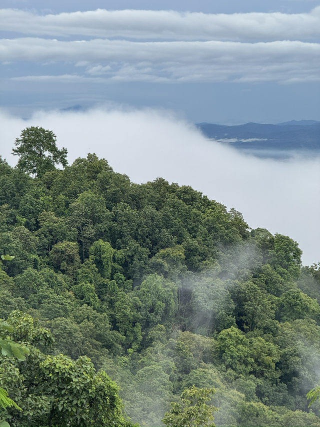 ดอยปุย-ดอยสุเทพ จ.เชียงใหม่ ⛰️🌳🌧️🌫️