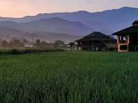 🌾 โรงเรียนชาวนา จ.น่าน 🌾