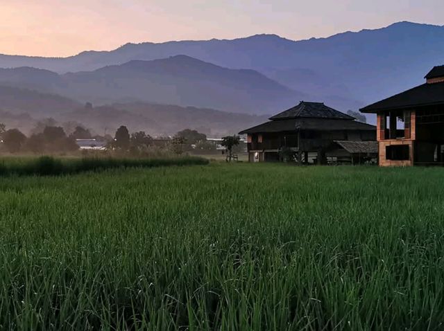 🌾 โรงเรียนชาวนา จ.น่าน 🌾