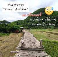 ถ่ายรูปสะพานไม้ไผ่วิวทุ่งนา กับ วัดนาคูหา📍แพร่ 