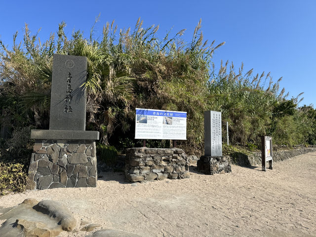 🌊 Aoshima, Miyazaki – A Charming Coastal Escape