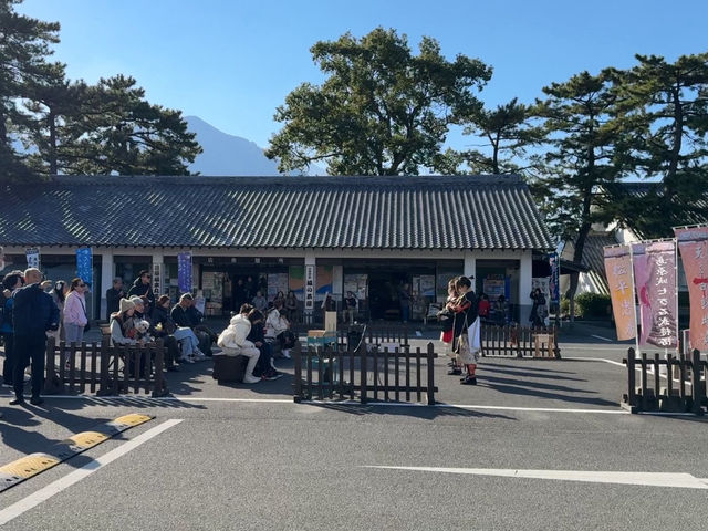 Shimabara Castle: A Hidden Gem of Samurai, Rebellion, and Tranquil Views