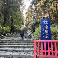 🪾🌳 A Serene Stroll Through 杉参道 (Cedar Avenue to Zuihoden)