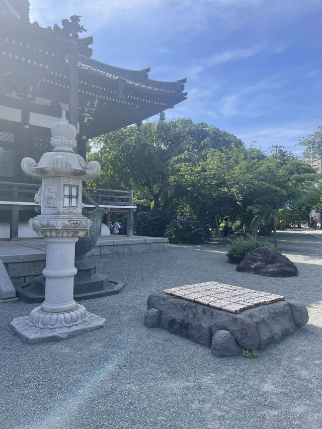 【神奈川県/鎌倉　紫陽花がキレイに咲いている穴場スポット】