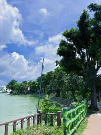 🌿 桃園八德｜高城埤塘生態公園：水鳥會跑來打招呼的靜謐小天地 🐦✨