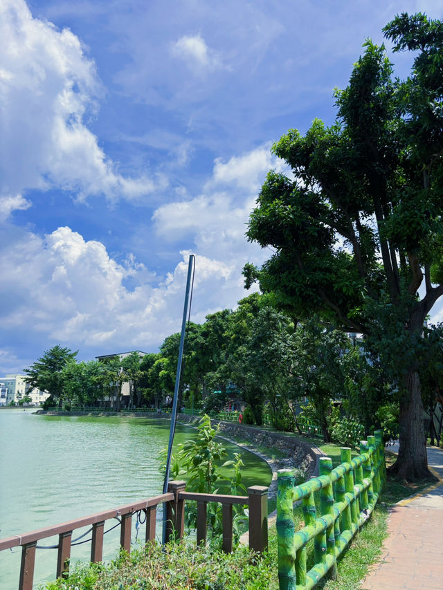 🌿 桃園八德｜高城埤塘生態公園：水鳥會跑來打招呼的靜謐小天地 🐦✨
