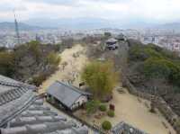 🏯 A Majestic Journey Through Time at Matsuyama Castle