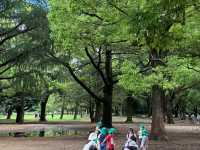 Tokyo Trip: Spend Half a Day "Wasting" Time at Yoyogi Park! 🌳☕