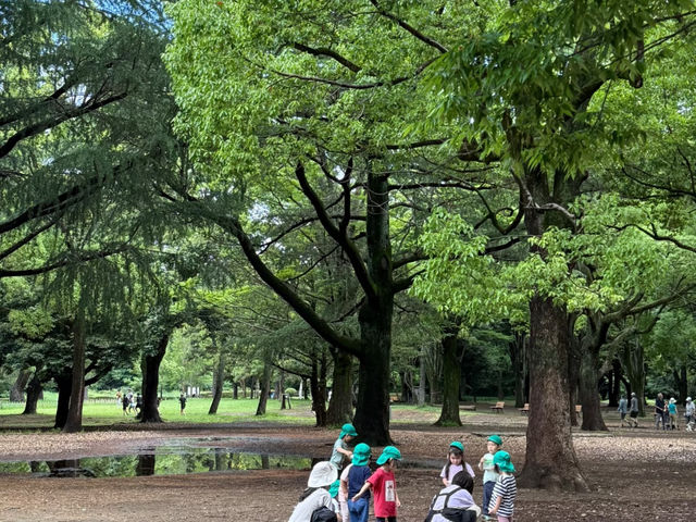 Tokyo Trip: Spend Half a Day "Wasting" Time at Yoyogi Park! 🌳☕
