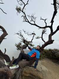 Into the wild! First adventure for a virgin hiker
