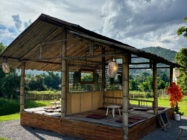 Ai Nara Cafe: Super Chill in a Chiang Mai Valley! ☕🐕🌿