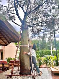 Jamii Coffee House