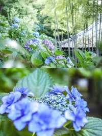 【神奈川】日帰りたび