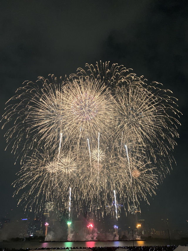 【大阪🇯🇵】淀川花火大会🎆
