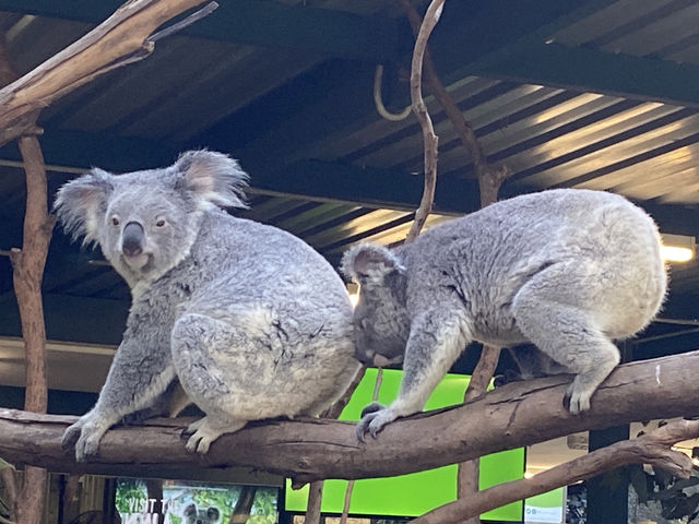 Featherdale Sydney Wildlife Park