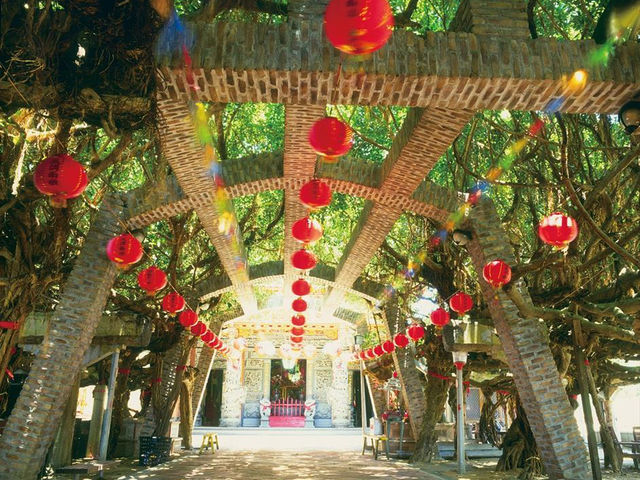 通樑古榕：澎湖最溫柔的信仰風景
