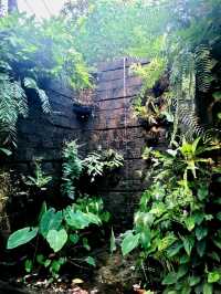 The Wonder of the Sunken Garden, Japanese Gardens