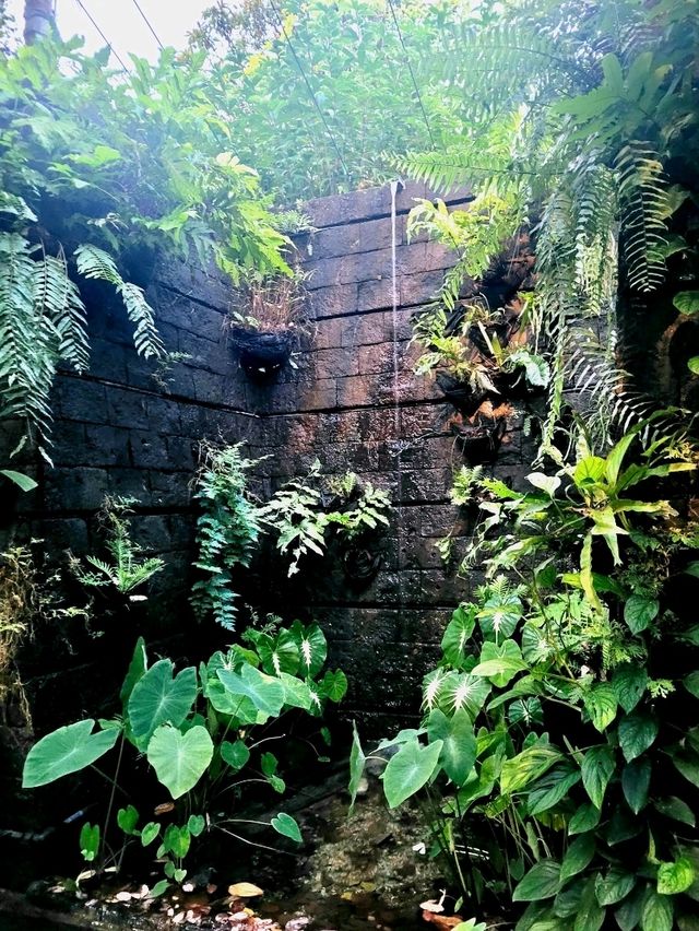 The Wonder of the Sunken Garden, Japanese Gardens