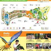 Colorful Birds, but Not Worth the Price – Be Careful with Kids!