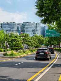 Seoul City Vibes in late June (Summer)