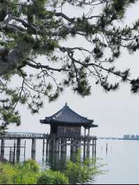 【湖に浮かぶ幻想の寺院🌕】浮御堂で静寂と絶景のひととき✨