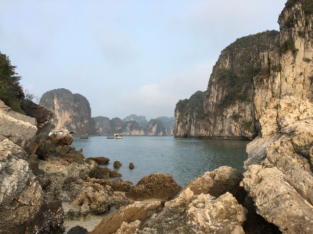 🚢🌿 Sailing Through a Dream: My Halong Bay Cruise Experience