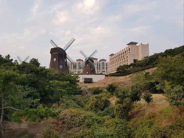 제주도 여름여행~!!! 바다와 맛난음식들