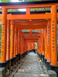 A Quiet Path Through Fushimi Inari Taisha