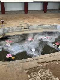 🇨🇳【西安古都探秘】🕌🧧🍢