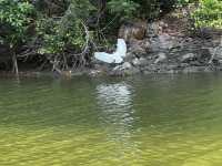 ล่องเรือคลองเขาแดง ประจวบคีรีขันธ์
