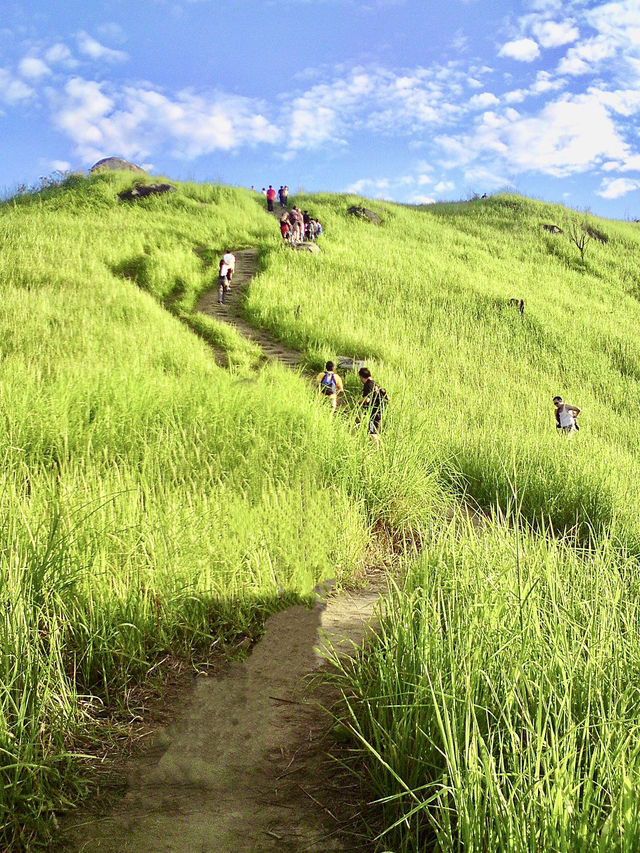 Nature’s Reset: Reconnecting with Simplicity at Broga Hill