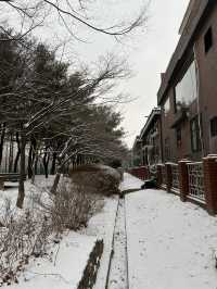 Seoul Forest in winter
