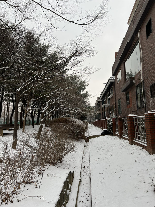 Seoul Forest in winter