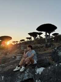 Socotra: A journey to Earth’s alien paradise