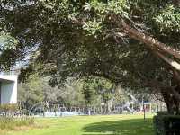 挑戰極限的樂園：Fairfield Adventure Park 