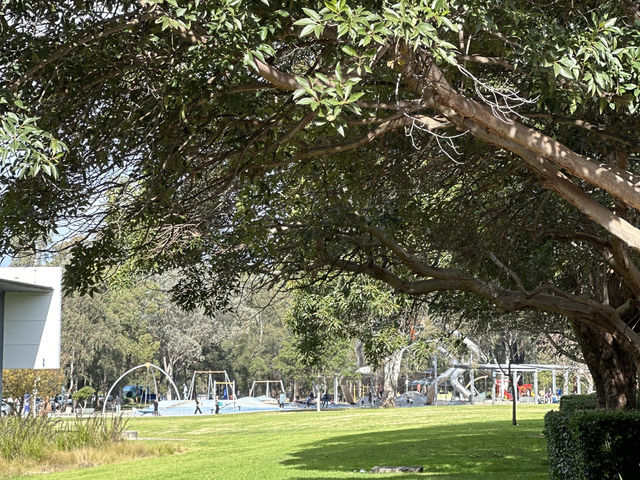 挑戰極限的樂園：Fairfield Adventure Park 