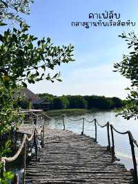 สภากาแฟ กตอ. – คาเฟ่ลับที่ปกคลุมไปด้วยภูเขา