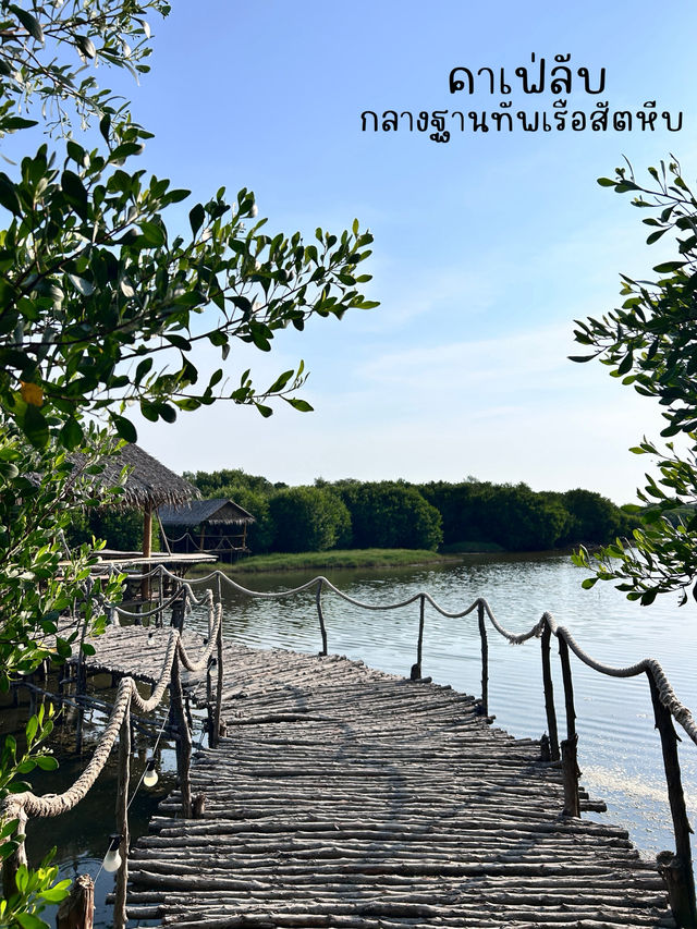 สภากาแฟ กตอ. – คาเฟ่ลับที่ปกคลุมไปด้วยภูเขา