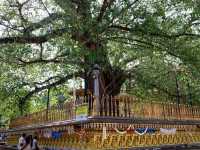 Day Trip to Colombo