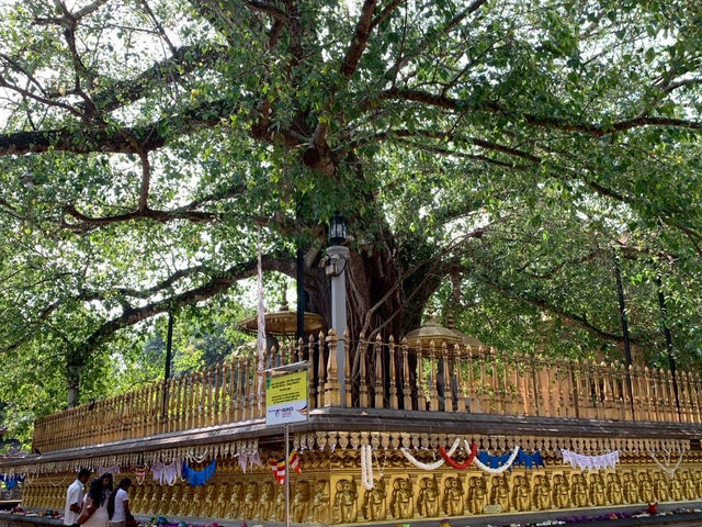 Day Trip to Colombo