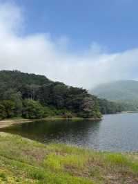 부산 근교 양산에 있는 피톤치드 가득한 산책로🍃